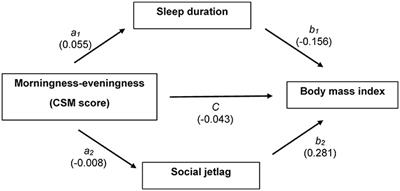 The Relationship Among Morningness-Eveningness, Sleep Duration, Social Jetlag, and Body Mass Index in Asian Patients With Prediabetes